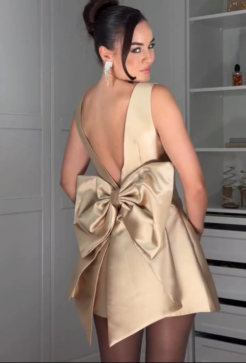 Dress Anastacia